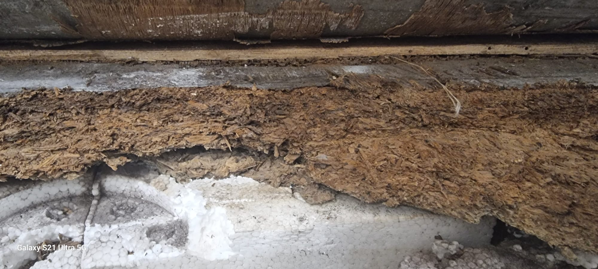 A picture showing a rotting floor. This was at the Trisor site while 24 NRG Group were completing an installation and renovation.